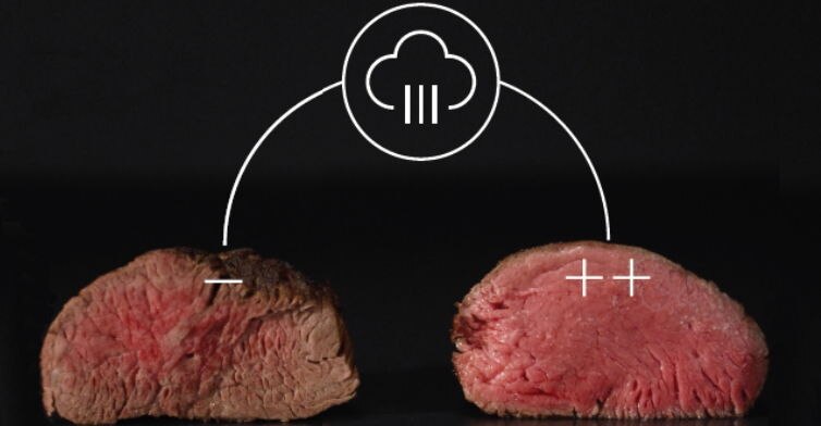 SousVide technique