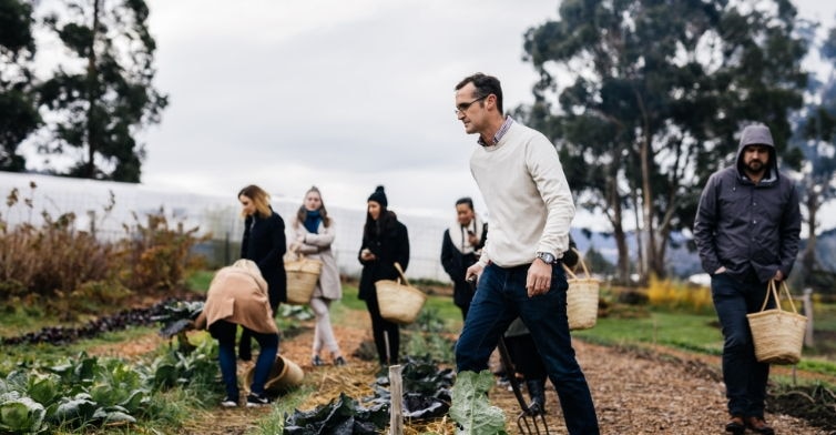 The agrarian kitchen farm